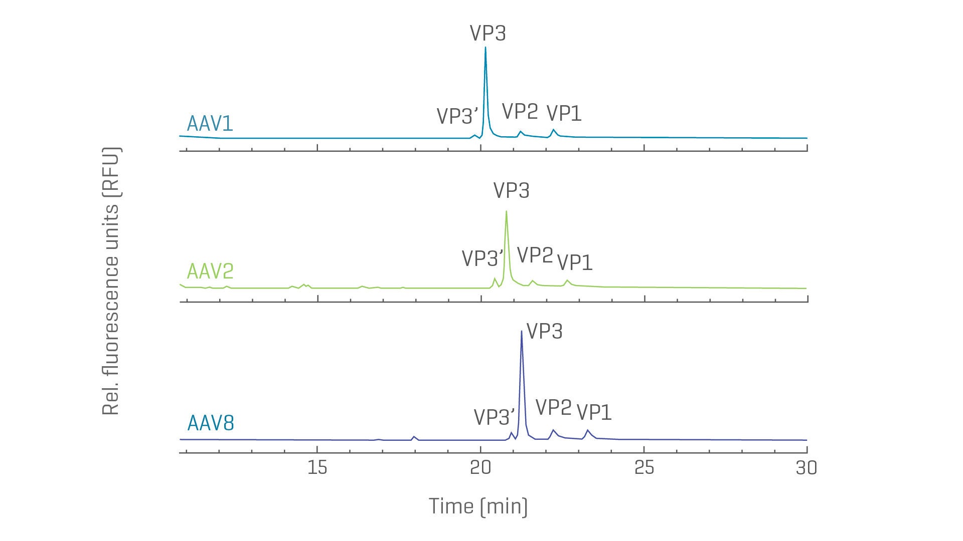 バイオ医薬品解析システム PA 800 Plus