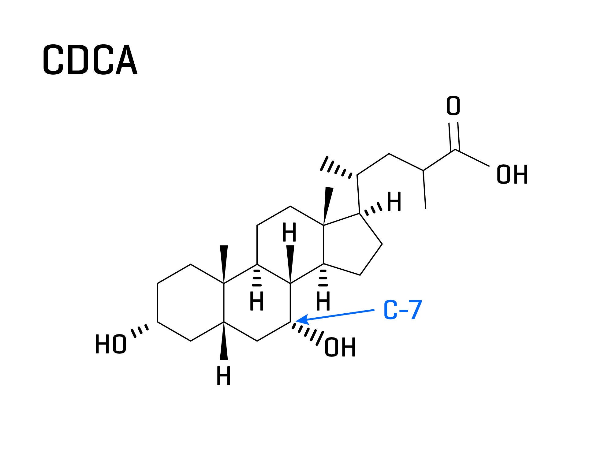 胆汁酸分析