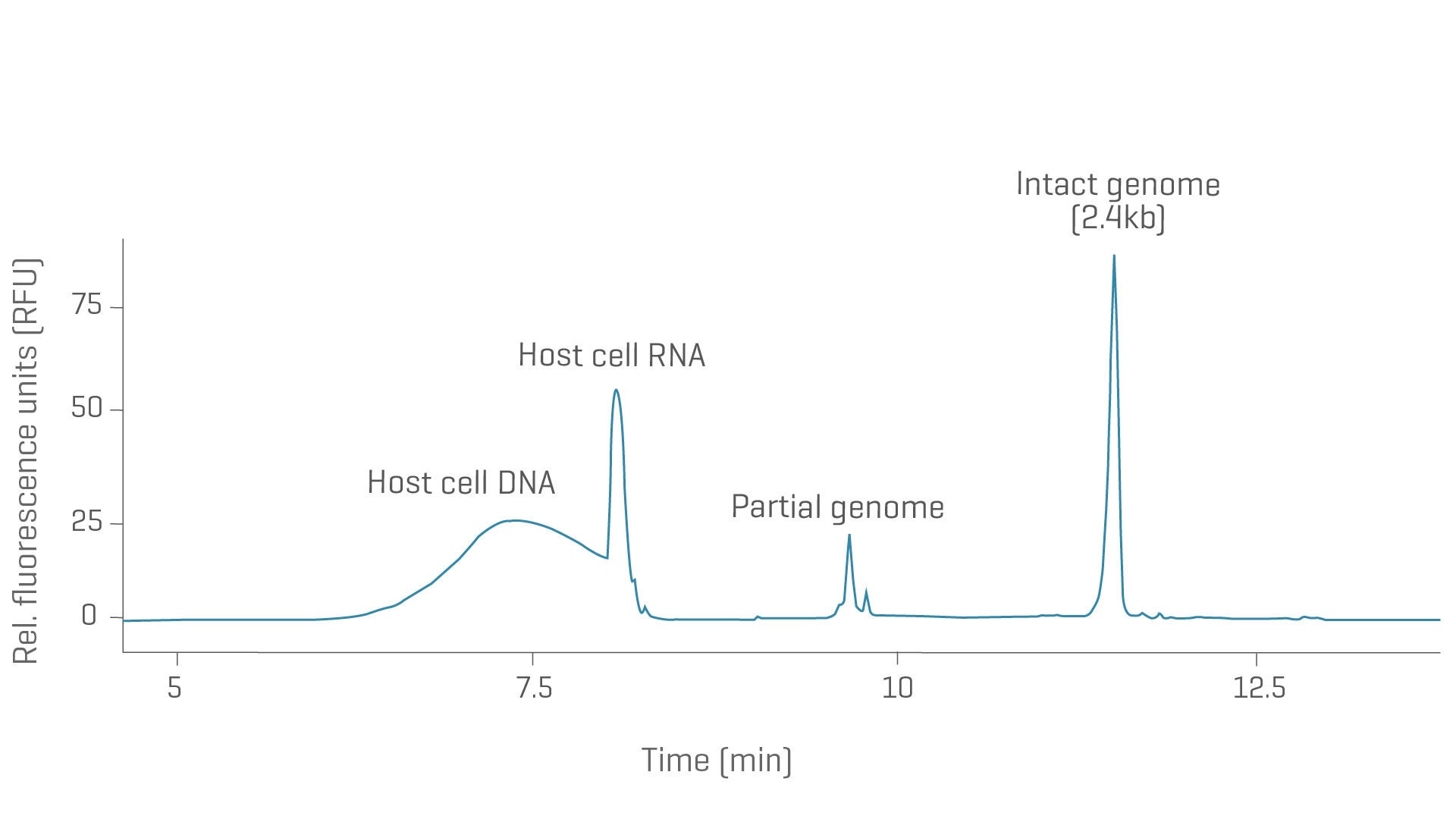 バイオ医薬品解析システム PA 800 Plus