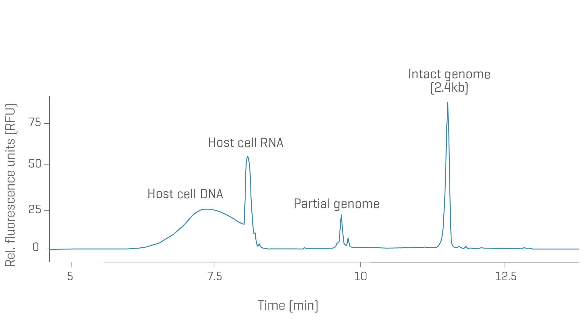 Virus genome integrity