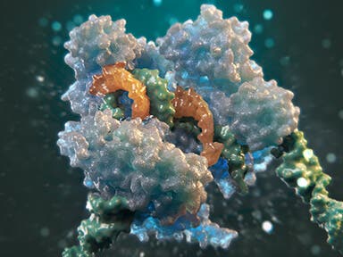 CRISPR/Cas9 解析