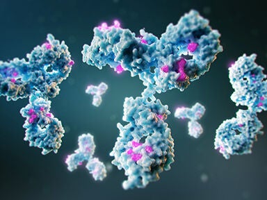 BioPhase 8800 システム