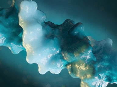 BioPhase 8800 システム