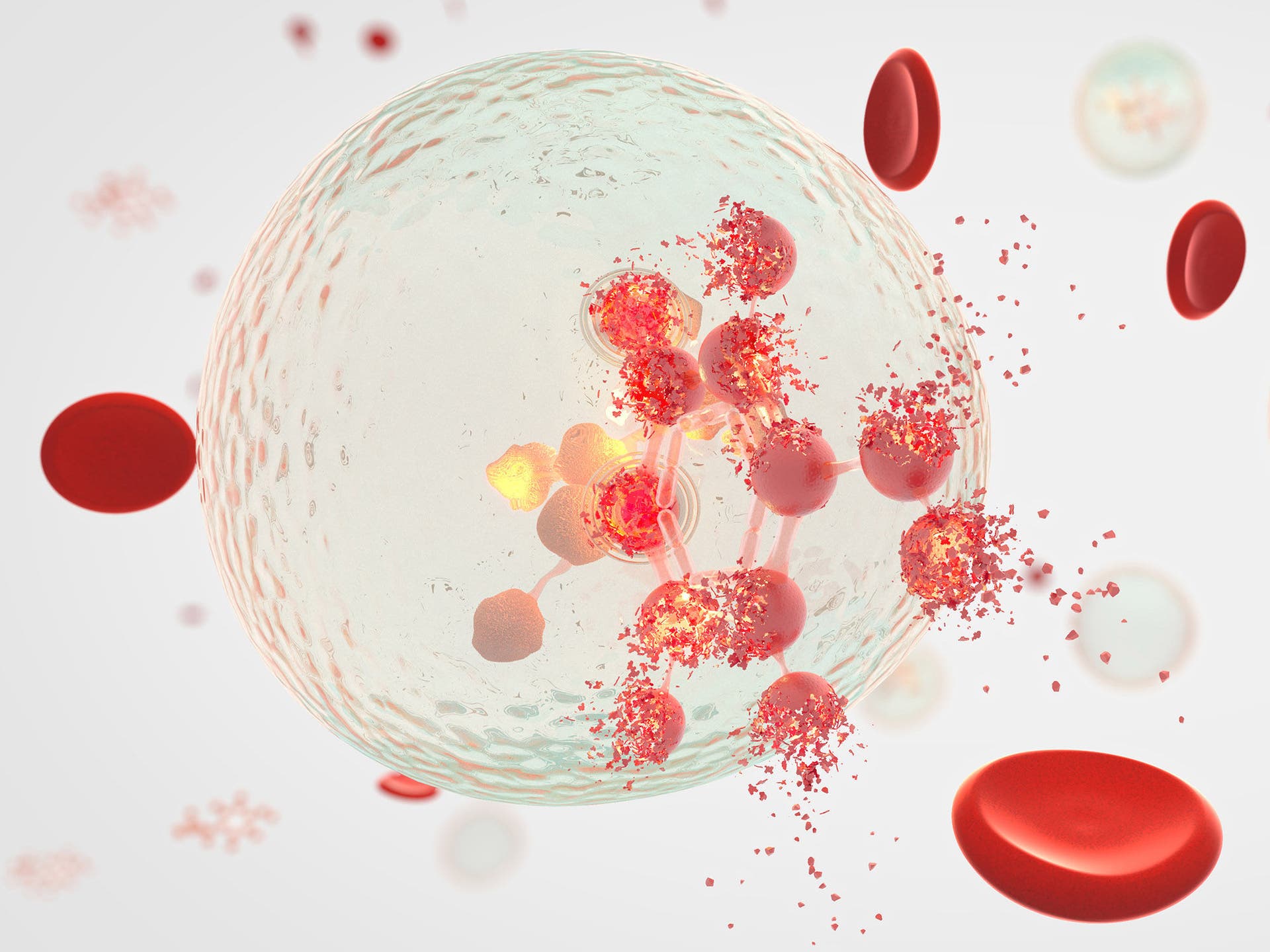 ADME-Tox and DMPK
